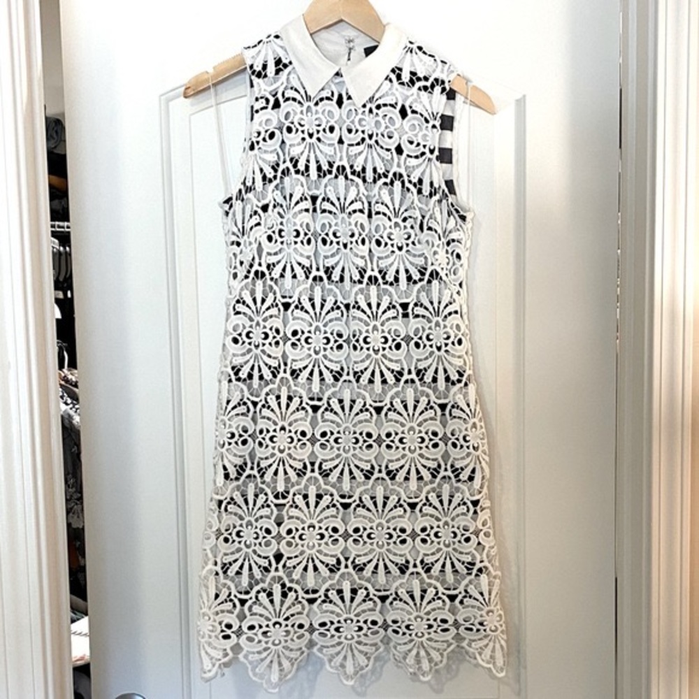 Adrianna Papell Macrame Lace Dress With Striped Lining Size 4